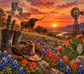Texas Sunset Tumbler Wrap